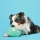 image 2 of BARK Aurora Beast Dog Toy