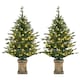 image 2 of HOMCOM Set of 2 Prelit Christmas Tree with Realistic Branches, Distressed Pot, 4ft Artificial Xmas Tree with 100 Warm White LED Lights for Indoor Home Decoration, Green