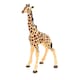 image 1 of PAPO Wild Animal Kingdom Giraffe Calf Toy Figure