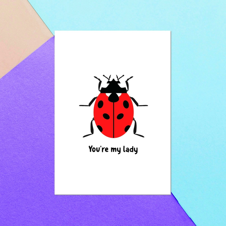 You're My Lady Greetings Card