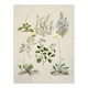 image 1 of Native New Zealand Wildflowers Artwork Featon Wall Art Poster Print 12X16"