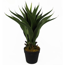 55cm Artificial Tropical Yucca Plant | Green | One Size
