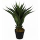 image 1 of 55cm Artificial Tropical Yucca Plant | Green | One Size