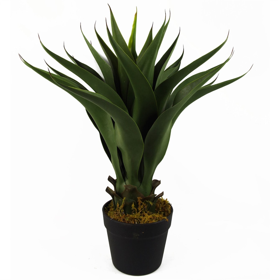 image 1 of 55cm Artificial Tropical Yucca Plant | Green | One Size