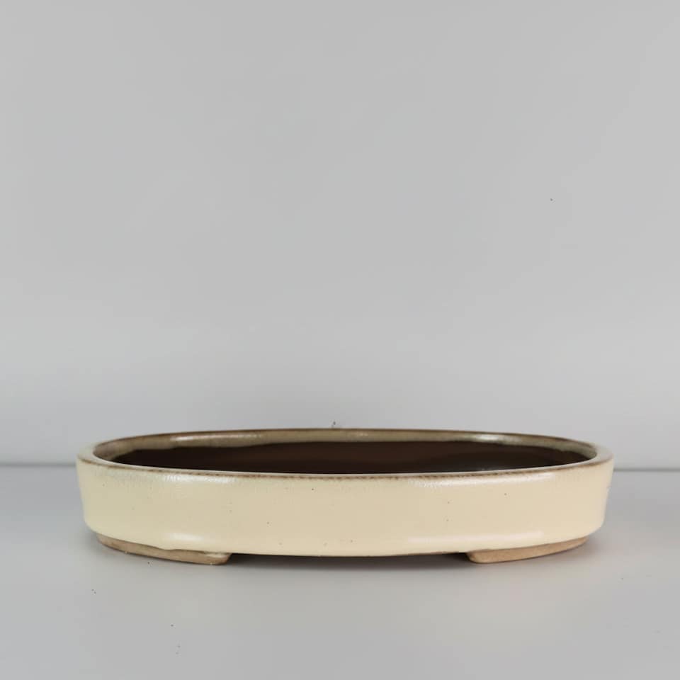 Yorkshire Bonsai 26cm Glazed Bonsai Pot Oval 26cm x 19cm x 4cm Cream