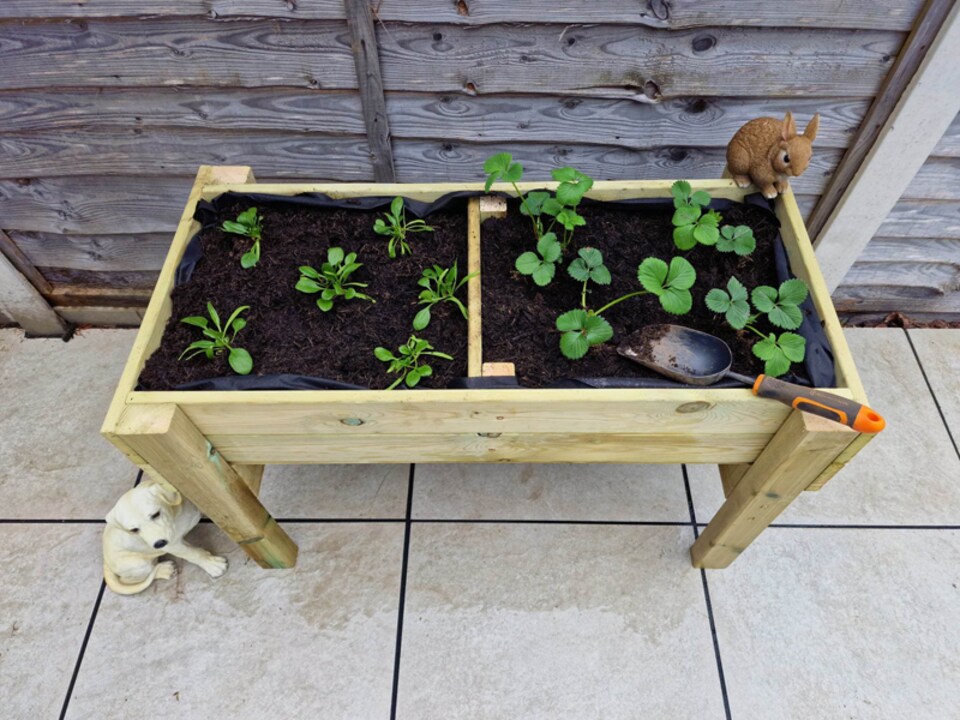 image 1 of Raised Veg Trug Garden Planter - Scandinavian Redwood - L52 x W180 x H60 cm - Minimal Assembly Required | Brown