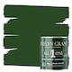 image 1 of EVELYN GRANT All-in-One Paint & Primer - Multi-Surface for Walls, Wood, Interior & Exterior - Forest Green - 5L - Matt