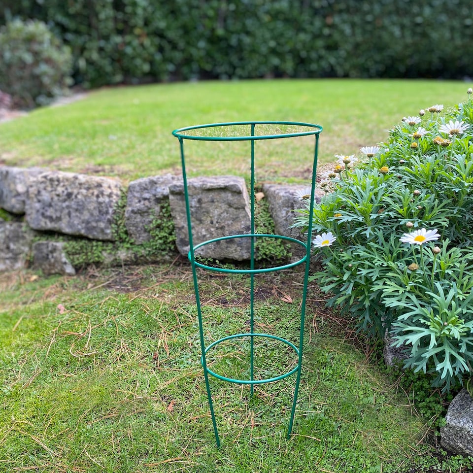 image 1 of Conical Metal Garden Herbaceous Plant Support Rings (48cm) - Pack of 5