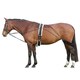 image 2 of Hy Horse Lunging System - Navy/Grey - One Size