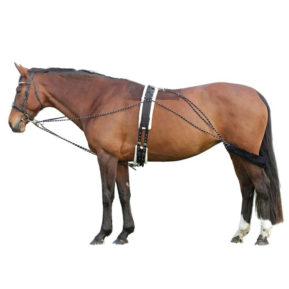 image 1 of Hy Horse Lunging System - Navy/Grey - One Size
