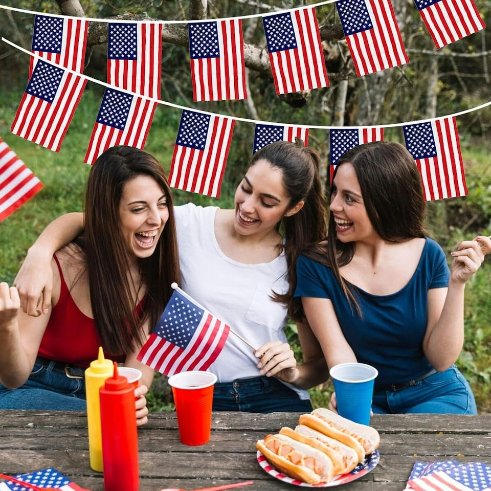 image 1 of USA Flag Rectangular Party Bunting 10m with 20 Flags