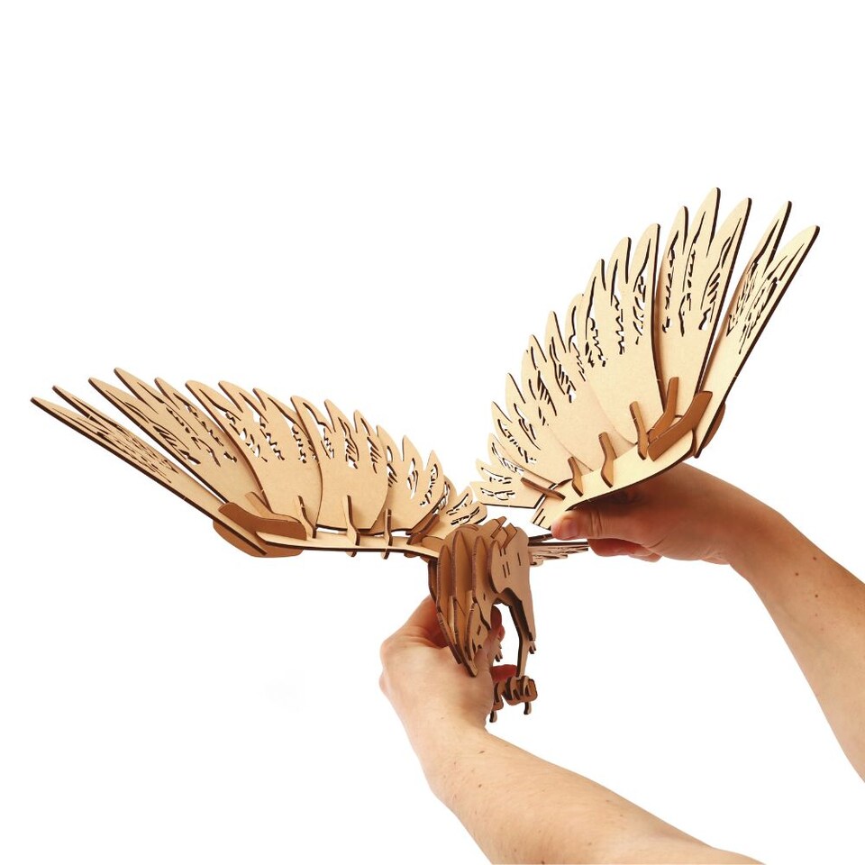 image 1 of 3D Wooden Model Kit Condor - Craft Gifts for 8 yrs +