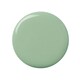 image 5 of Cambridge Nail Polish Green