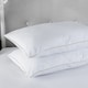 image 1 of Egyptian Cotton Pillow Pair Soft Luxury Feel Hollowfibre Filling White
