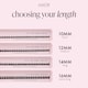 image 4 of House Of Amor - Eyelash Extensions - Spotlight Length - Short