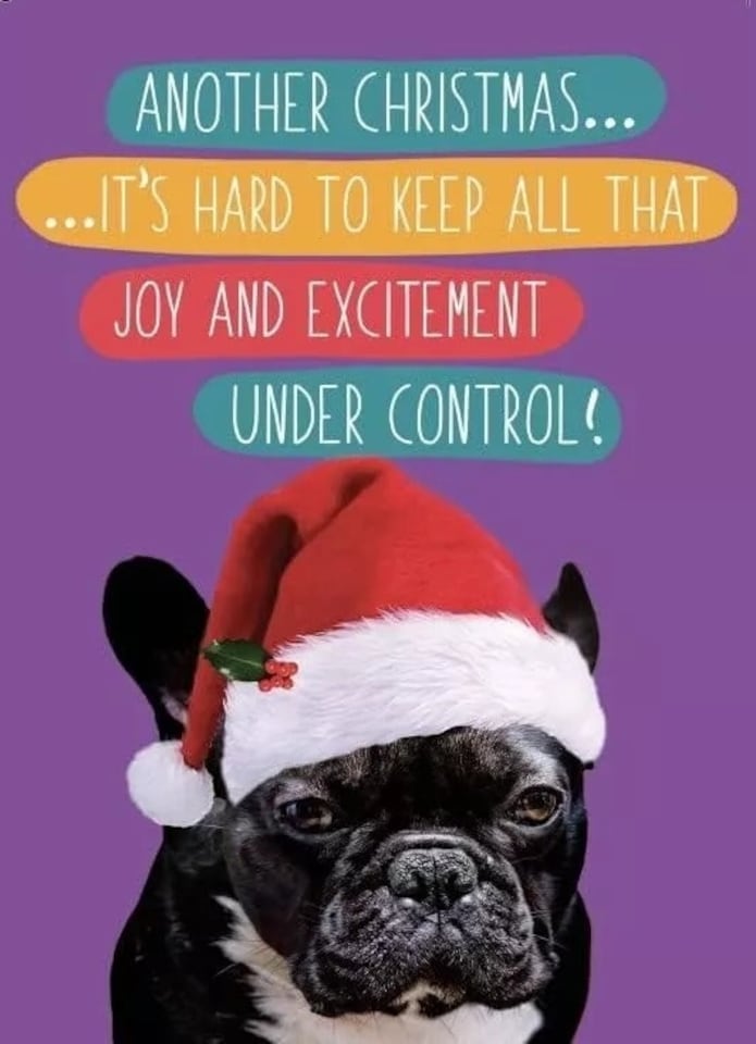 image 1 of Funny Christmas Card, Seasons Greetings, Christmas Card for Her, For Him, Hard To Keep All Joy & Excitement Under Control