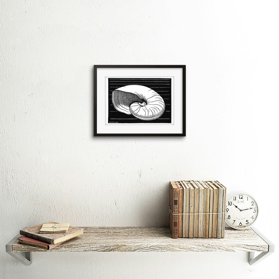 image 1 of Julie De Graag Bold Black White Shell Sea Life Bathroom 9x7" Black Framed Wall Art Print