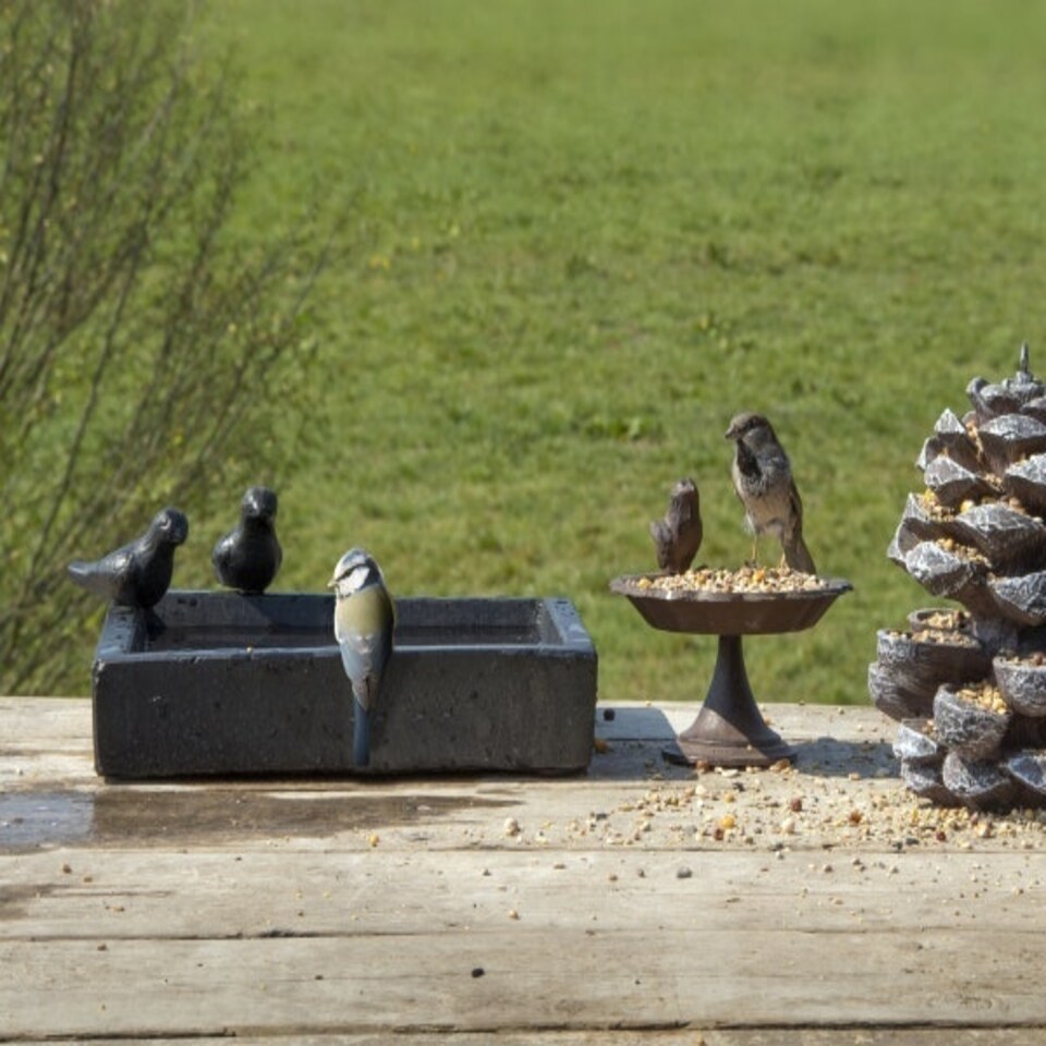 image 1 of Bird Bath & Feeding Bowl Square Black Terrazzo