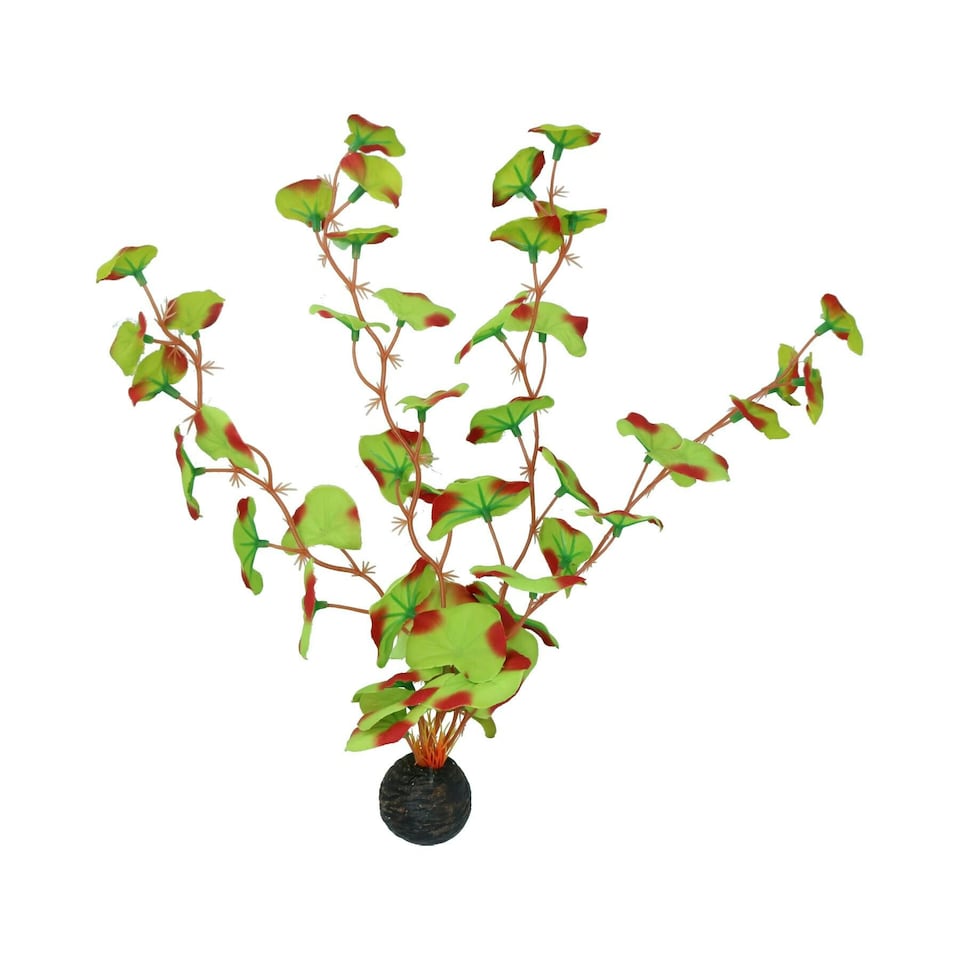 image 1 of Aquatic Aquarium Fish Tank Self Sinking Large Silk Plant Height 30cm  (No 13)