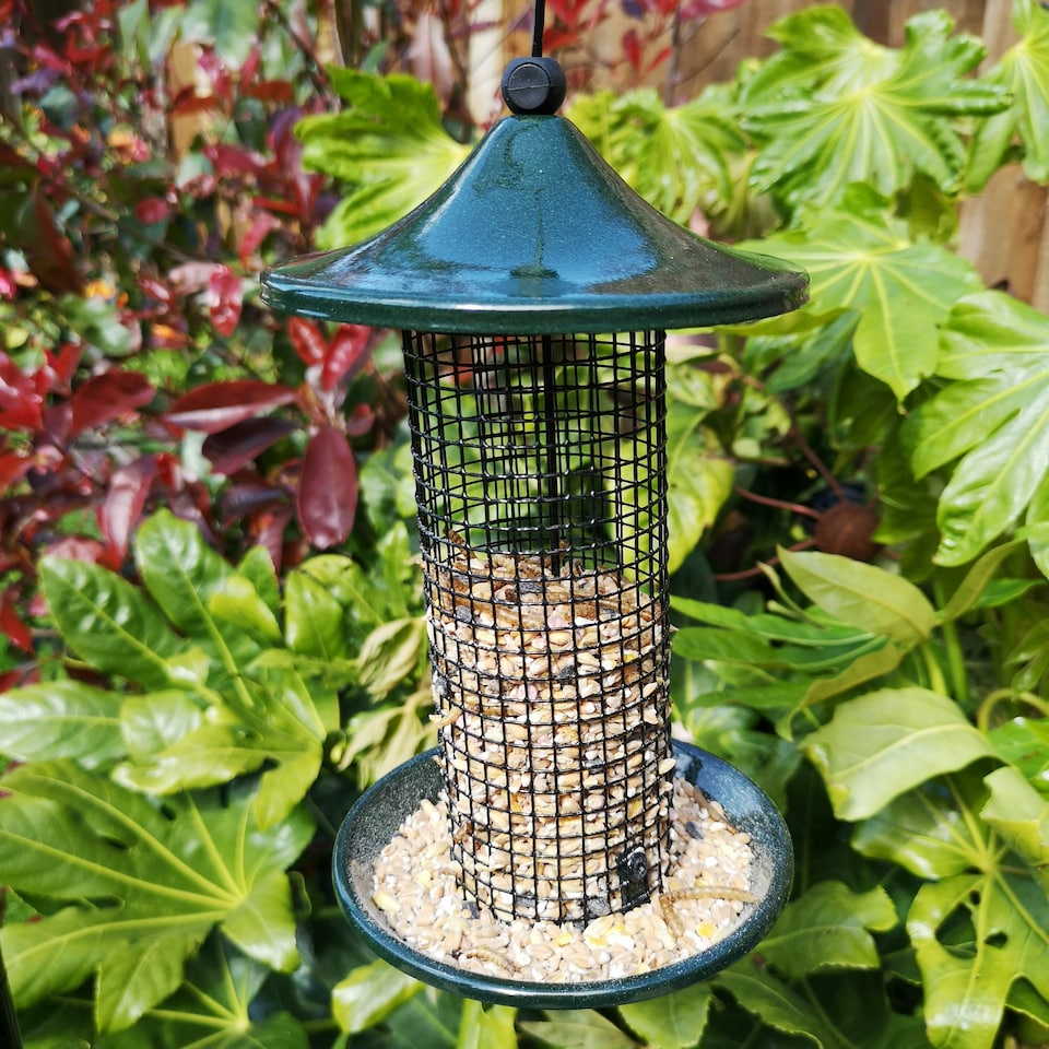 image 1 of Tom Chambers Oriental Stylish Garden Wild Bird Hanging Green Metal Peanut Feeder