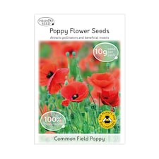 Poppy Flower Seeds - Papaver Rhoeas, Field Poppy - 10g