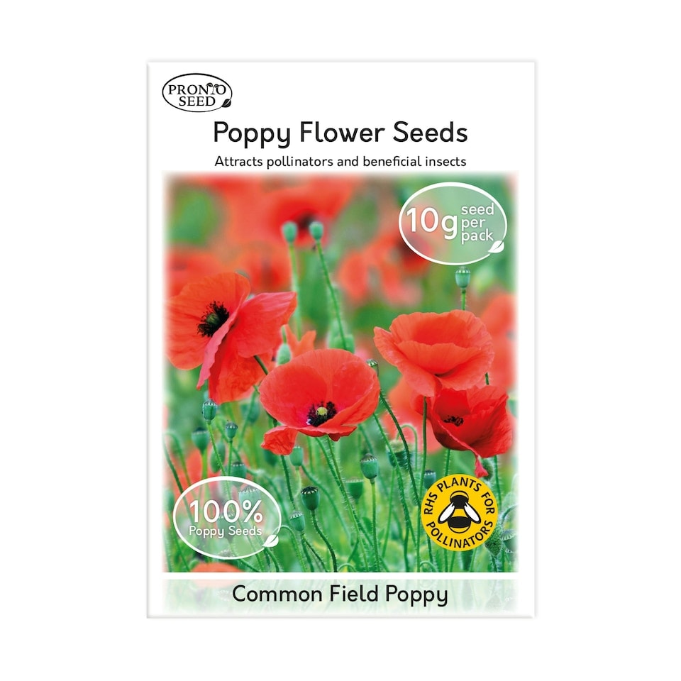 image 1 of Poppy Flower Seeds - Papaver Rhoeas, Field Poppy - 10g