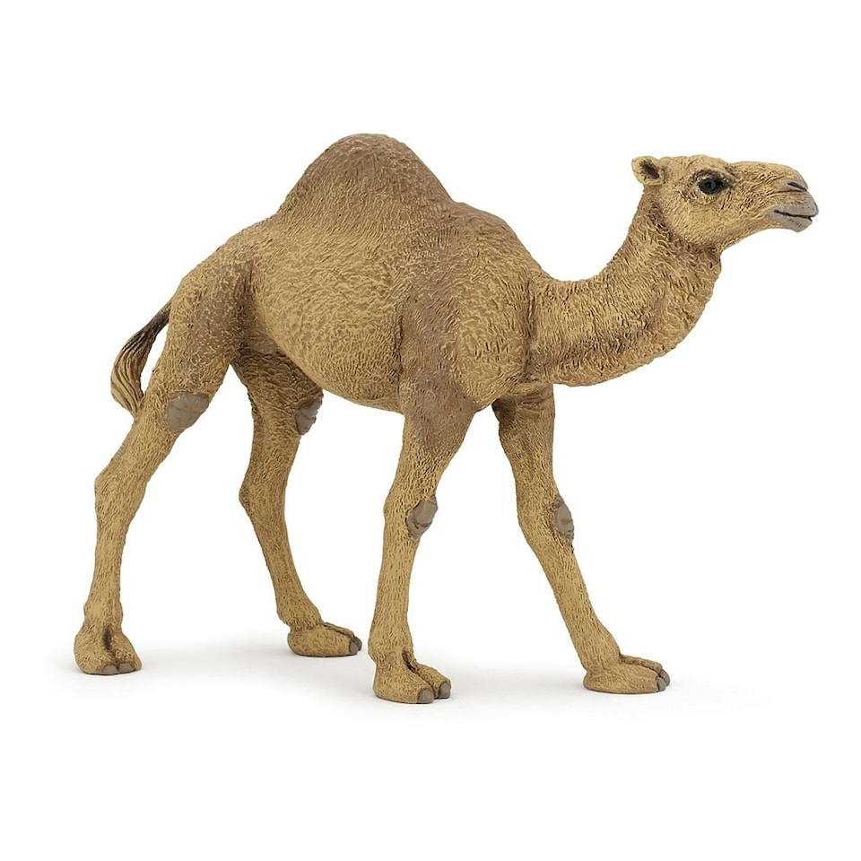 image 1 of PAPO Wild Animal Kingdom Dromedary Toy Figure