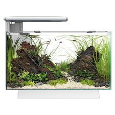 Superfish Quadro 40 Multi-Colour LED Aquarium White