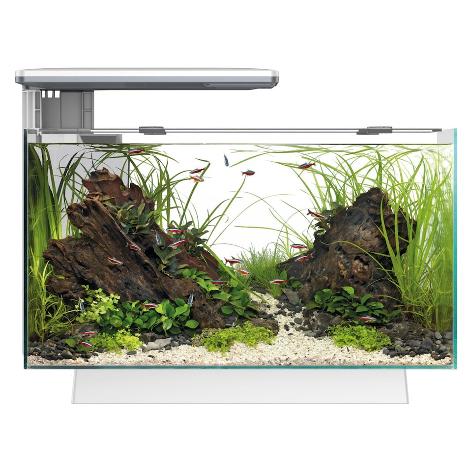 image 1 of Superfish Quadro 40 Multi-Colour LED Aquarium White
