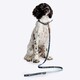image 3 of FatFace Marching Dogs Lead Medium 2cm (100% Polyester)&nbsp;&nbsp;&nbsp;&nbsp;