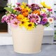 image 1 of Ivory Plant Pot White
