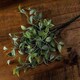 image 2 of Shoots Greenery Bunch Artificial Plant - Fabric/Plastic - L8 x W8 x H40 cm - Green