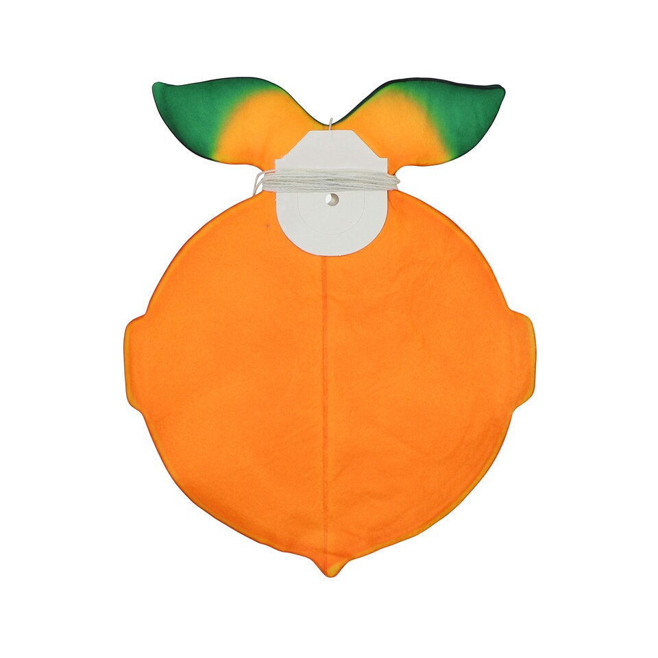 image 1 of Orange Fruit Garland 3.6m