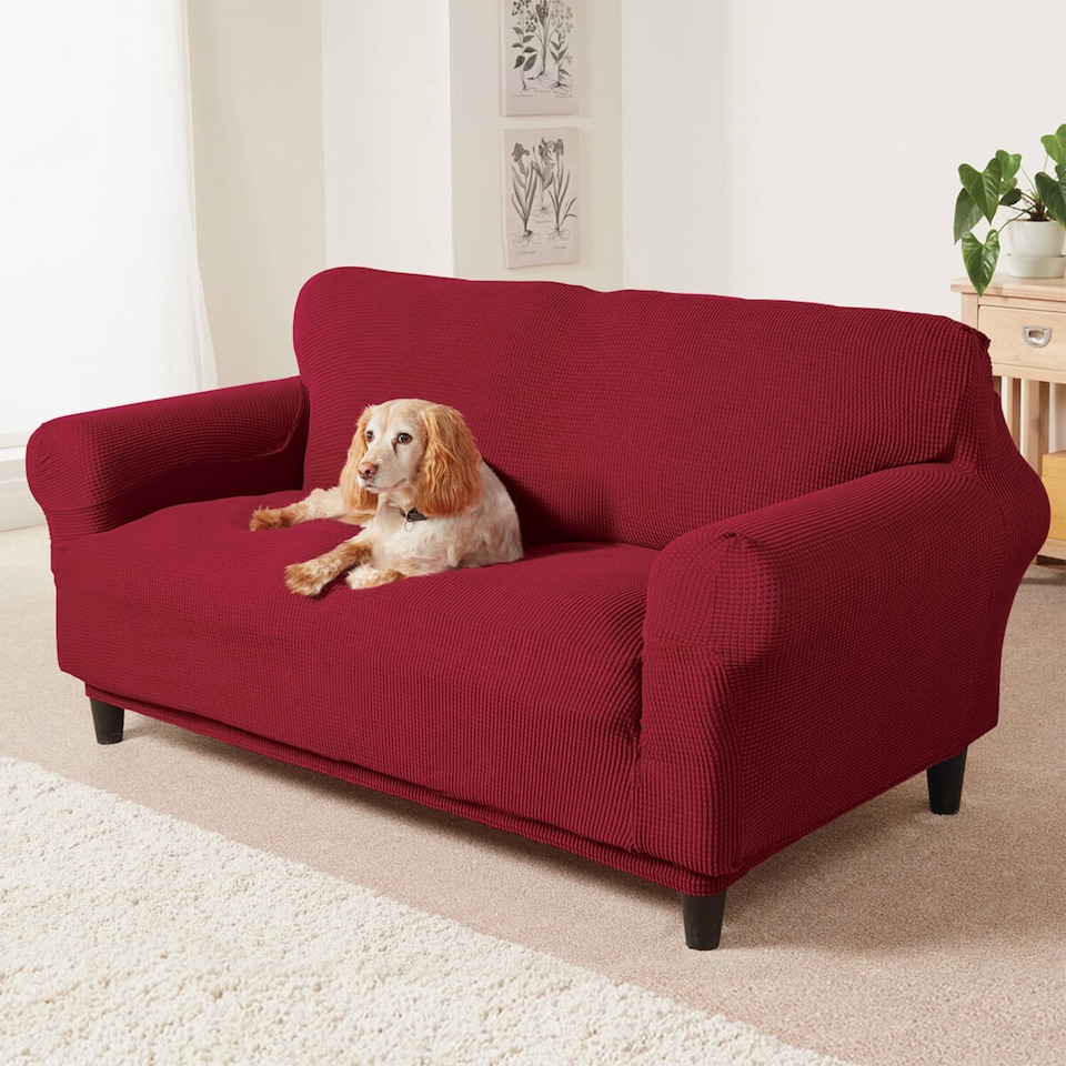 image 1 of Coopers Of Stortford 2 Seater Sofa Cover Stretch Fit Polyester Furniture Protector