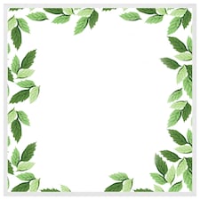 Green border (Picture Frame) White | XL