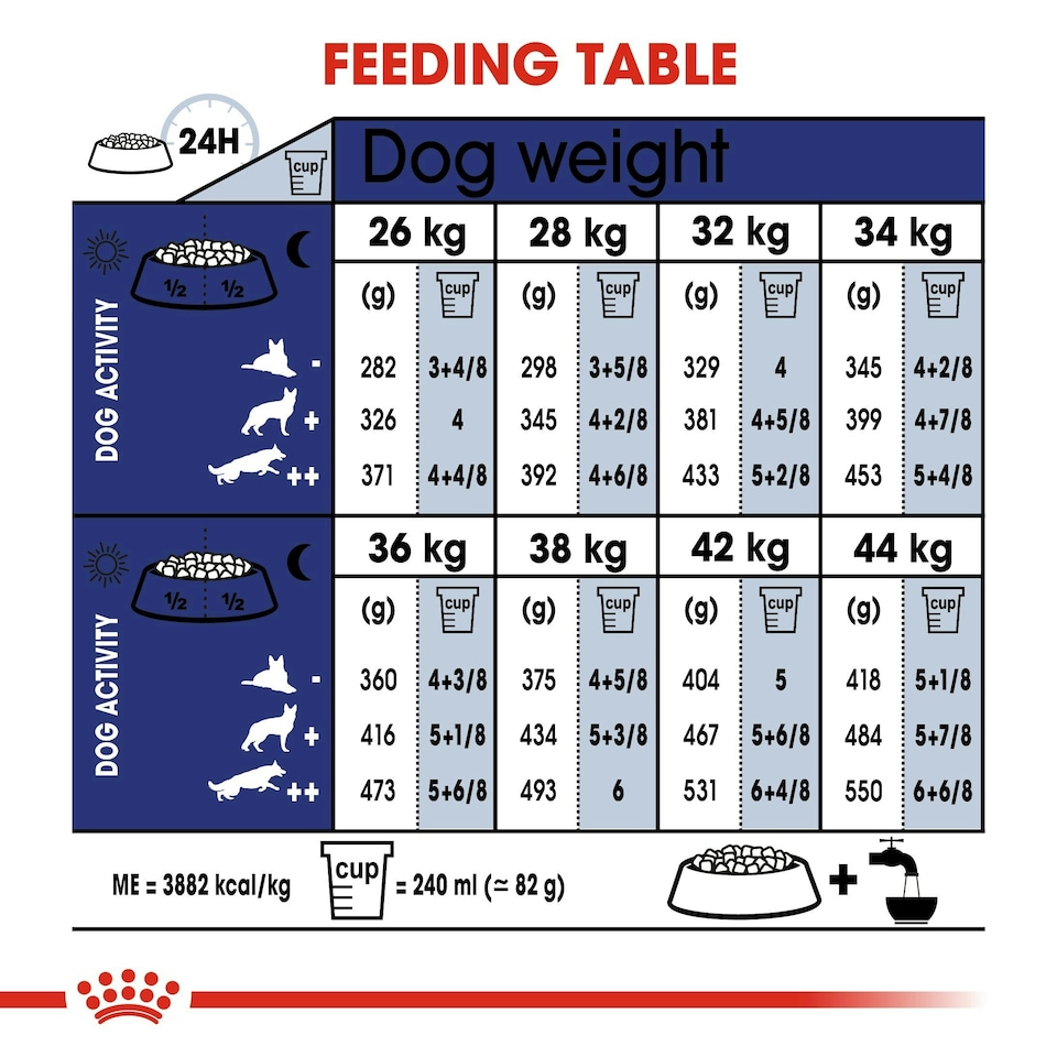 image 1 of ROYAL CANIN® Maxi Ageing 8+ Dry Dog Food