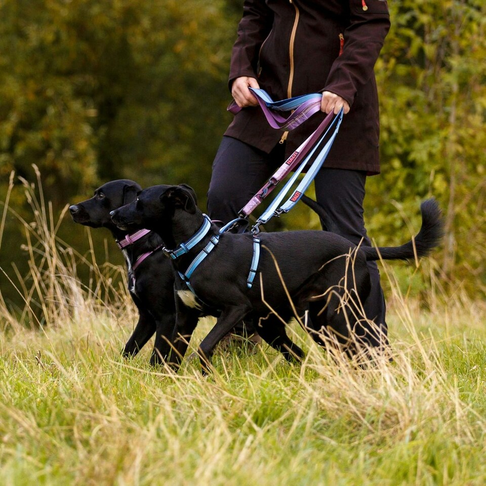 image 1 of HALTI Double-Ended Lead For Dogs - Size Large - Red 2m