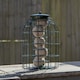 image 3 of Samuel Alexander Metal Hanging Bird Fat Ball Feeder with Squirrel Guard & Pack of 6 Suet Fat Balls