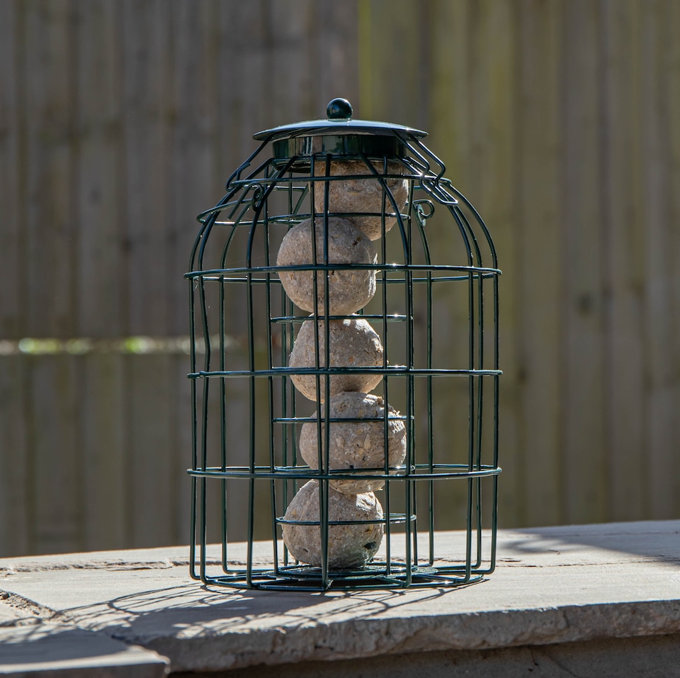 image 1 of Samuel Alexander Metal Hanging Bird Fat Ball Feeder with Squirrel Guard & Pack of 6 Suet Fat Balls
