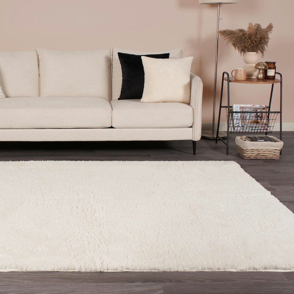 image 1 of OHS Soft Shaggy Textured Plush Carpet Floor Rug, 160x230cm - Cream