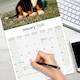 image 5 of Bernese Mountain Dog 2026 Calendar | Square Wall Calendar | Dog Breed Gift | Plastic Free Packaging | by Avonside Publishing