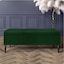 Forest Green Plush Velvet