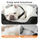 image 4 of Skylos Dog Car Seat Bed Pet Booster Travel Carrier with Safety Leash | Black | Black | 1
