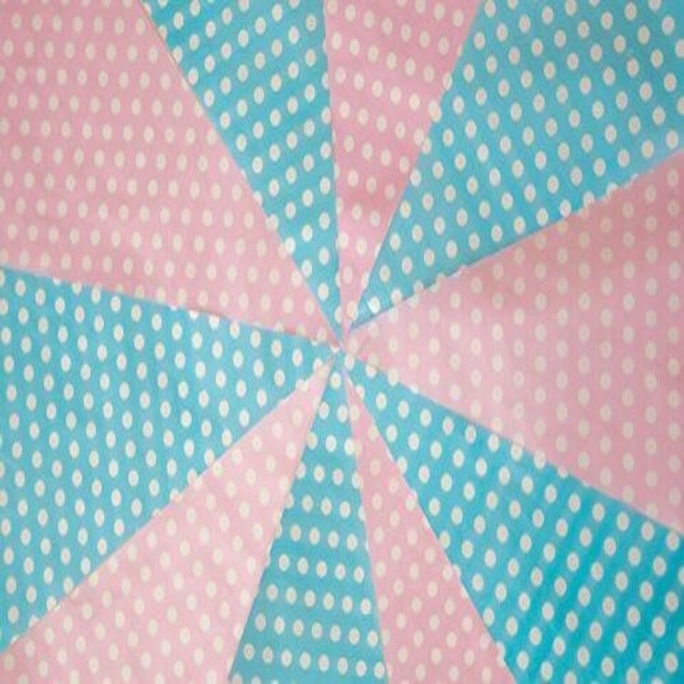 image 1 of Pink & Blue Polta Dot Party Bunting 10m with 20 Pennants