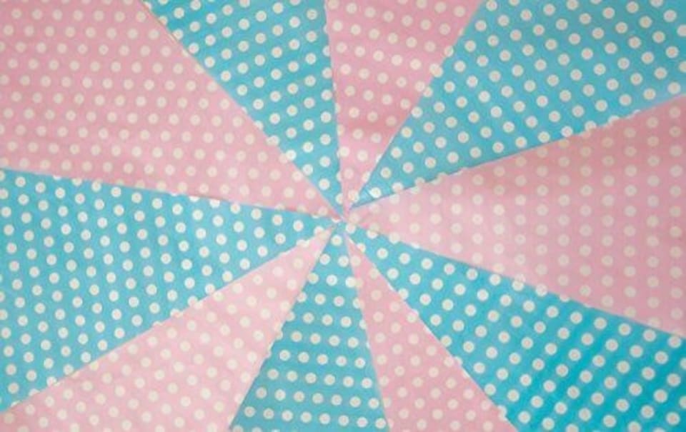 image 1 of Pink & Blue Polta Dot Party Bunting 10m with 20 Pennants