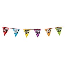 Age 17 Holographic Foil Pennant Bunting 8m