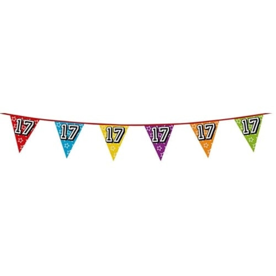 Age 17 Holographic Foil Pennant Bunting 8m