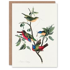 John James Audubon Art Card Painted Finch on Olive Branch