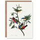 image 1 of John James Audubon Art Card Painted Finch on Olive Branch