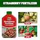 image 9 of Vitax Organic Strawberry Fertiliser 1L Liquid for Rich Flavor Bountiful Strawberries and Prolific Yields